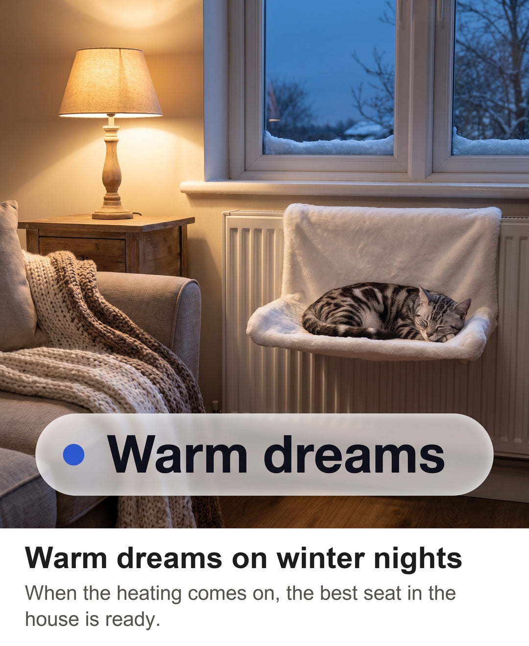 Silver tabby cat asleep in the radiator bed on a winter evening by lamp light