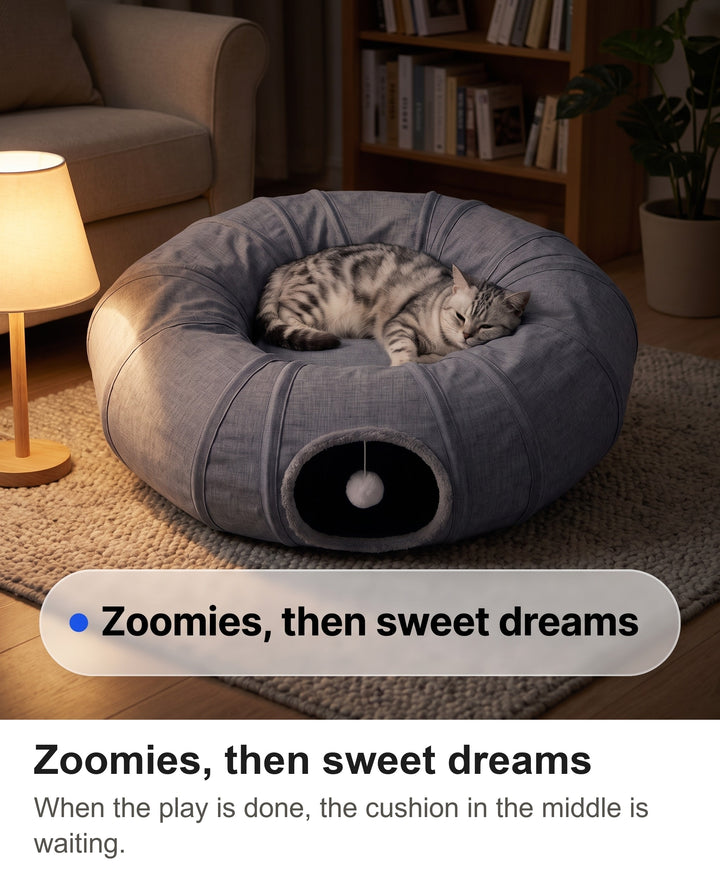 Silver tabby cat asleep on the cushion of the cat tunnel bed at night by lamp light