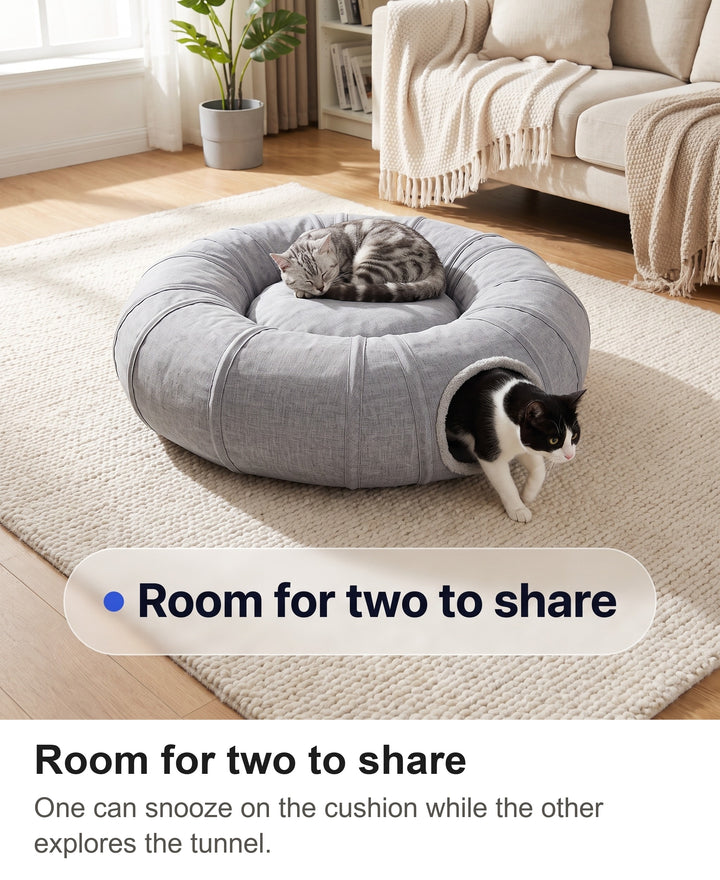 Two cats sharing the cat tunnel bed, one asleep on the cushion and one in the tunnel