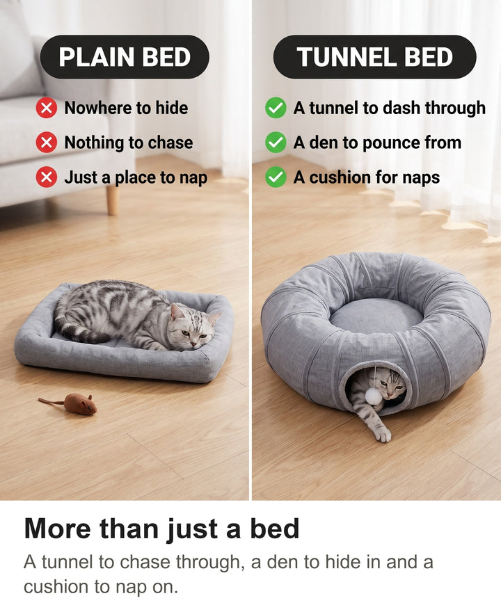 Comparison of a plain flat cat bed with the cat tunnel bed