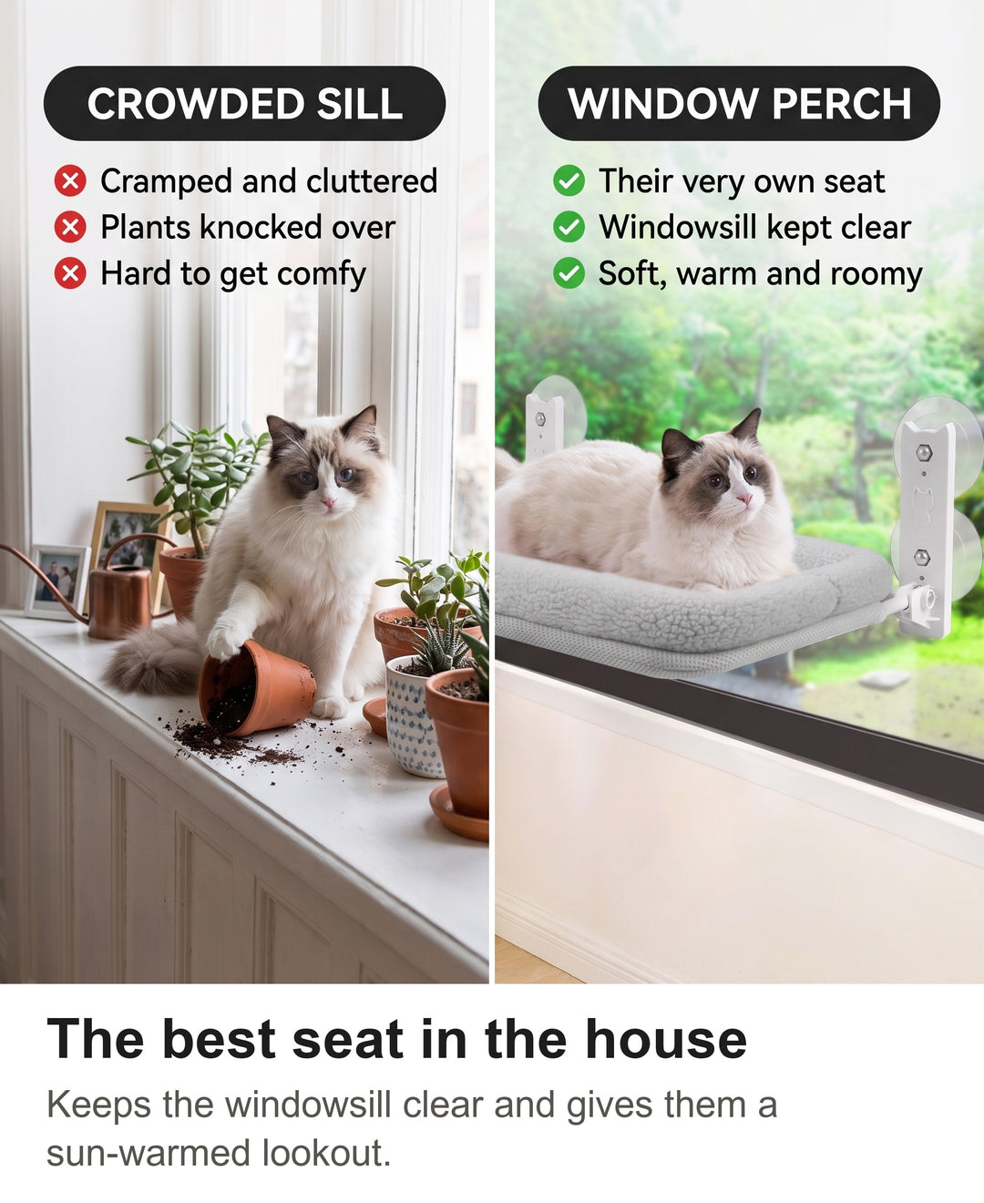 Comparison of a cat on a cluttered windowsill with a cat on the window perch