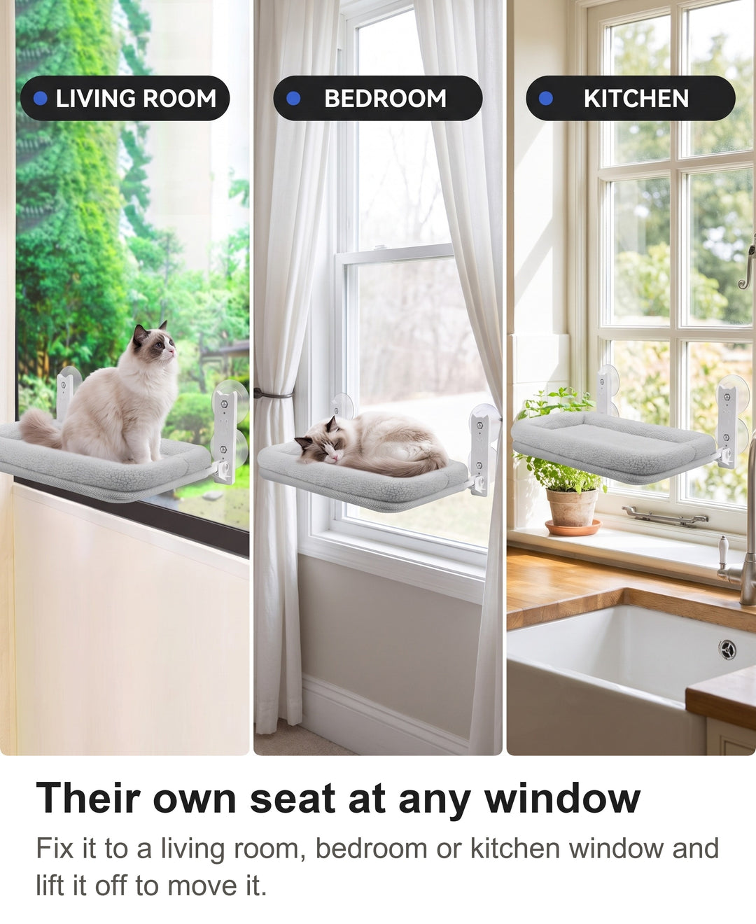 Cat window perch on a living room window, a bedroom window and a kitchen window