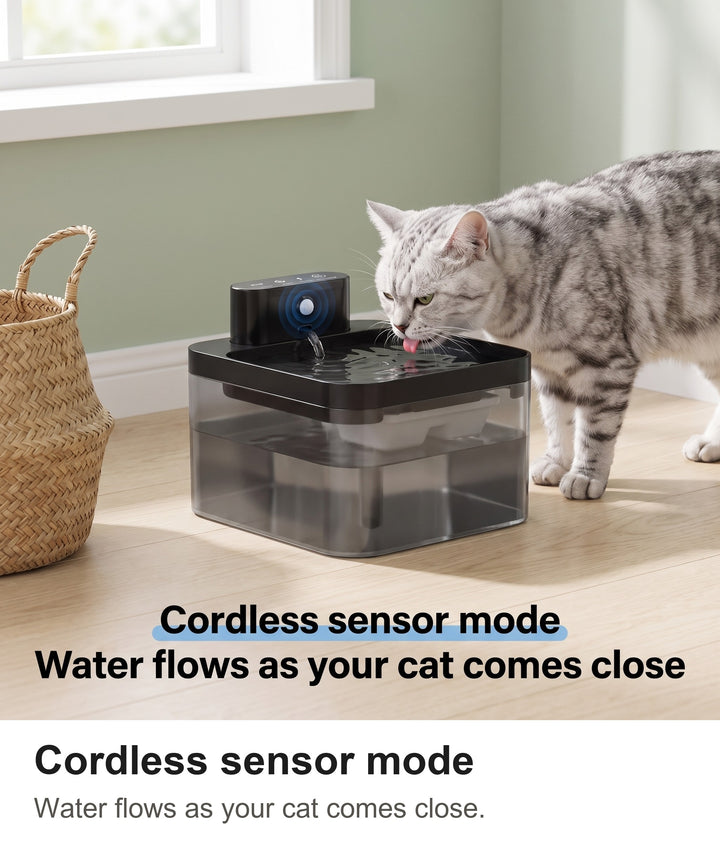 Silver tabby cat drinking from the cordless cat water fountain in a hallway, sensor mode