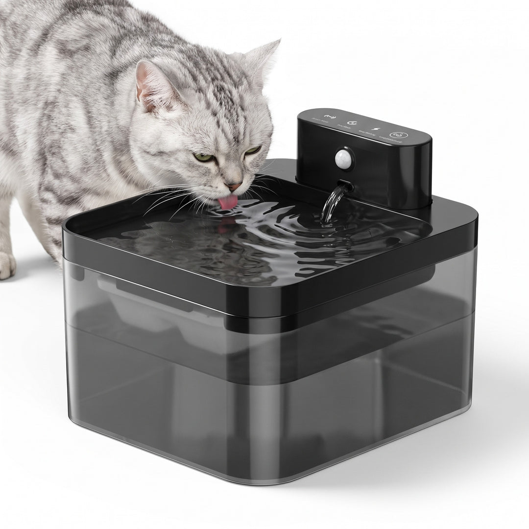 Square cordless cat water fountain with motion sensor and a silver tabby cat drinking