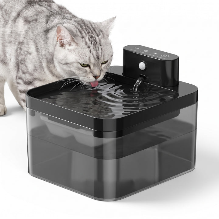 Square cordless cat water fountain with motion sensor and a silver tabby cat drinking