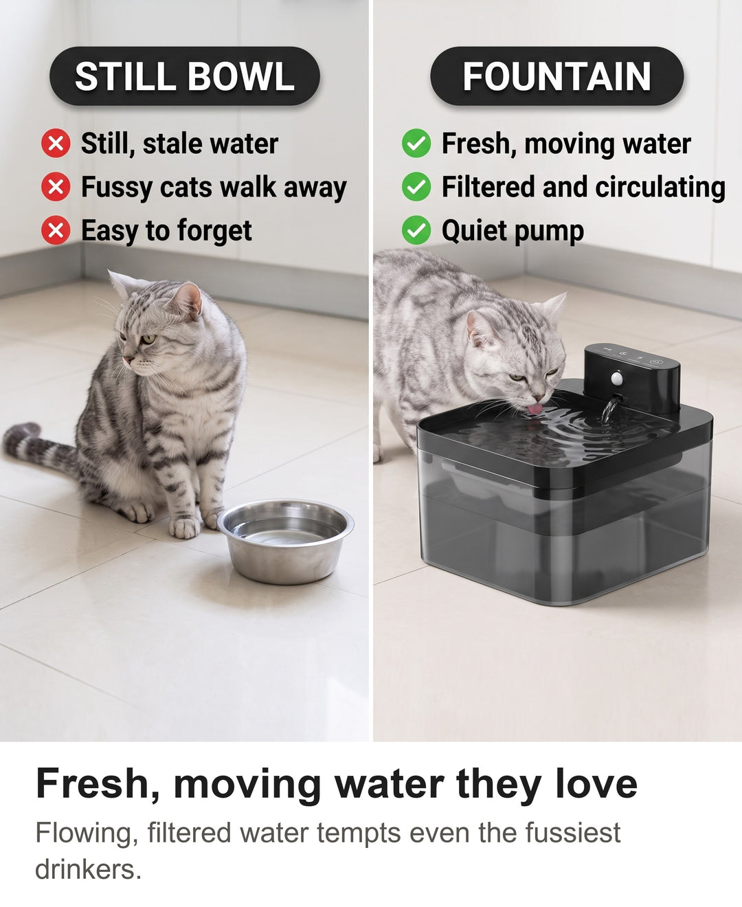Comparison of a cat ignoring a still water bowl with a cat drinking at the cat water fountain
