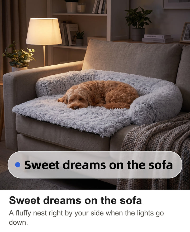 Cockapoo asleep in the fluffy dog sofa bed on a sofa by lamp light