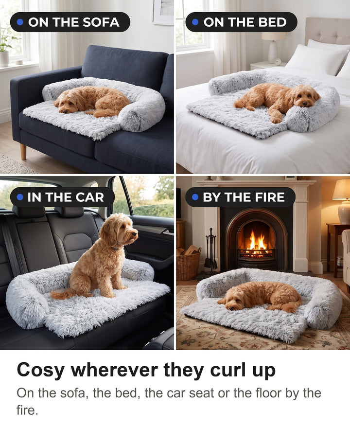 Fluffy dog sofa bed on a sofa, a bed, a car back seat and a living room floor