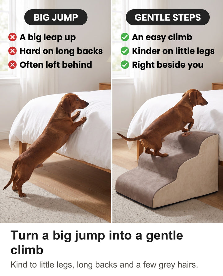 Comparison of a dachshund jumping onto a bed with the dachshund using the foam dog steps