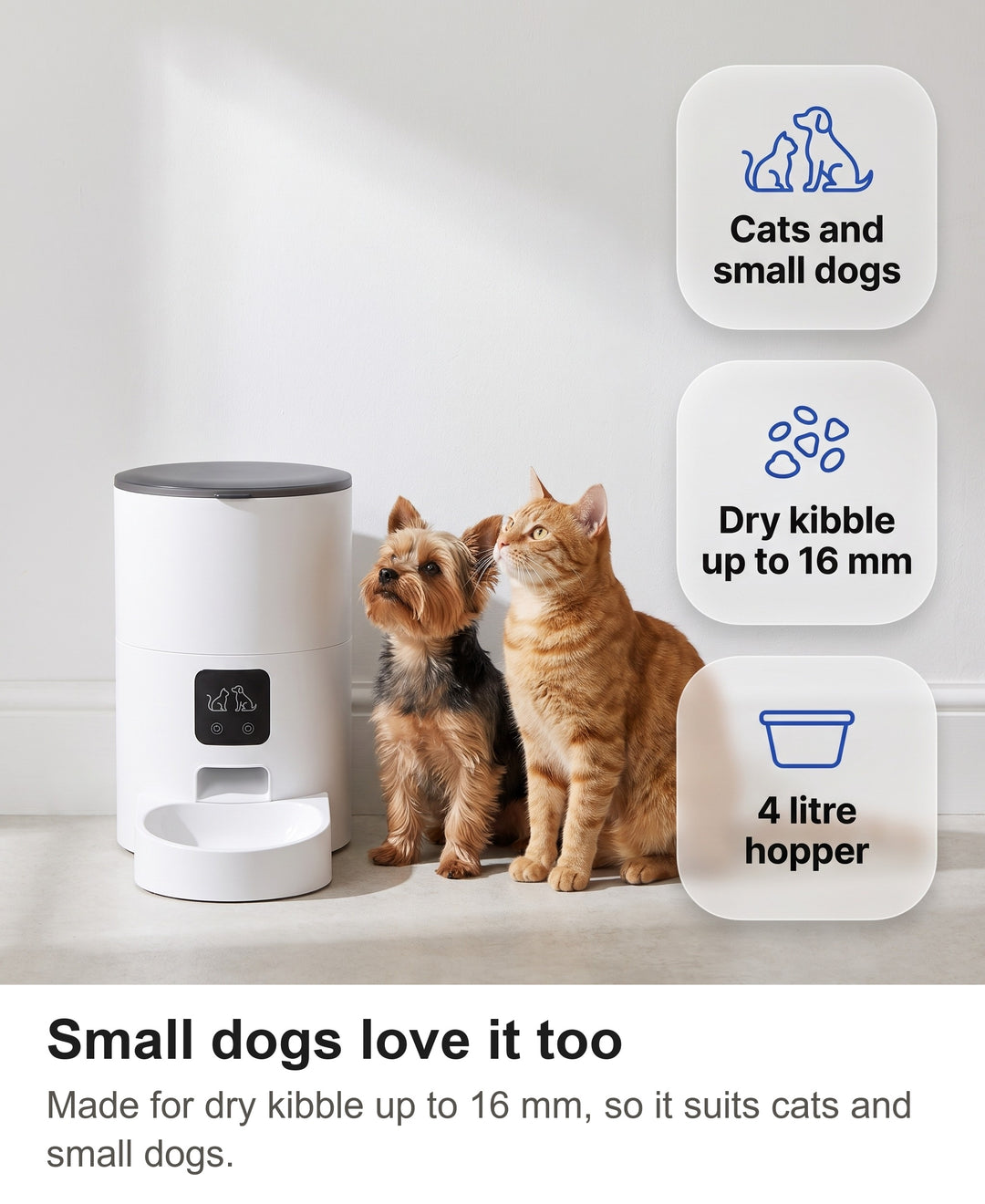 Small dog and ginger cat sitting beside the automatic pet feeder