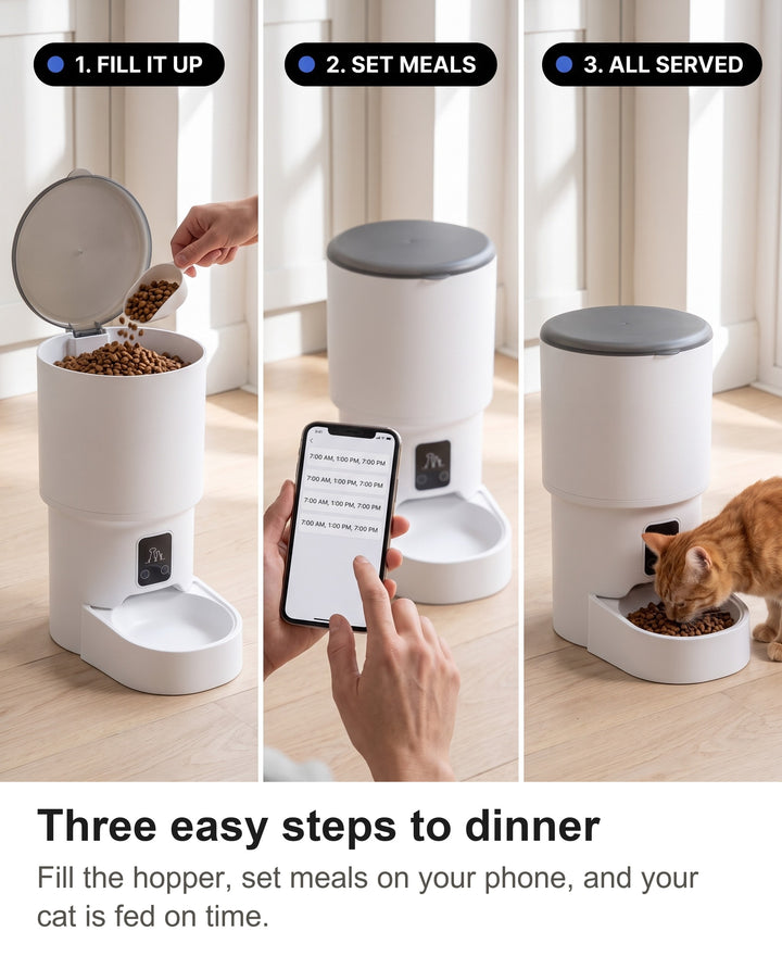 Three steps with the automatic cat feeder: fill the hopper, set meals on the phone, cat eating