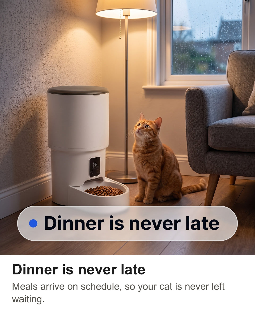 Ginger cat sitting by the automatic feeder at dusk in a cosy living room