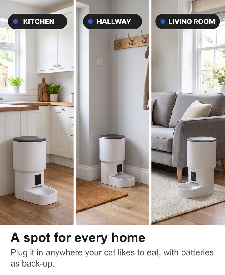 Automatic cat feeder in a kitchen, a hallway and a living room