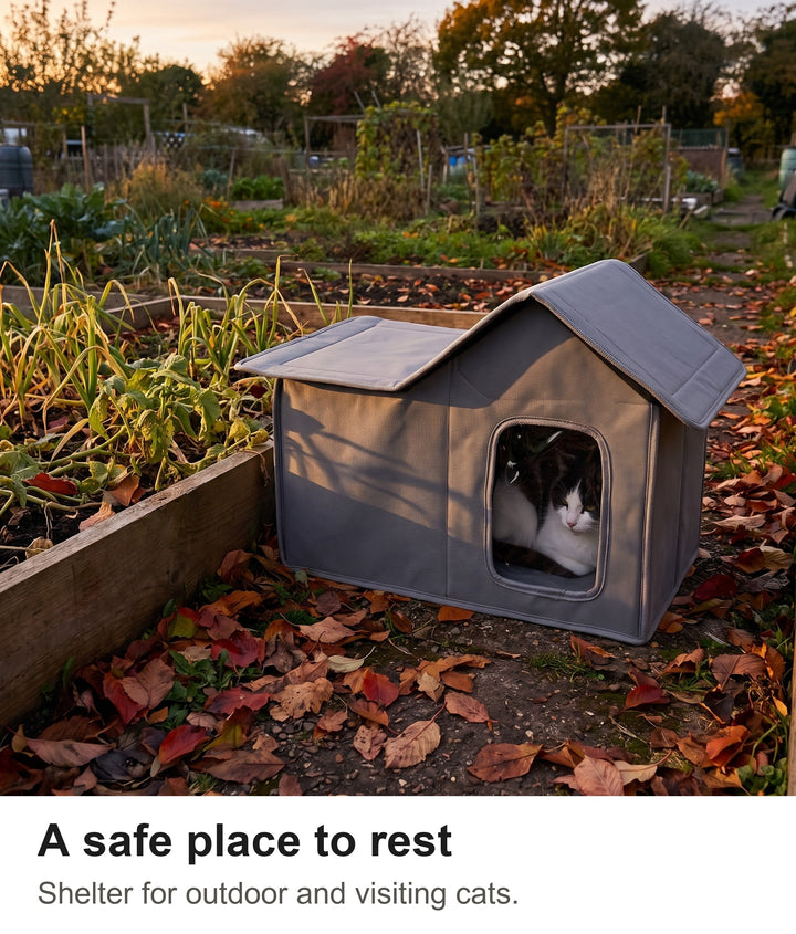 Black and white cat curled up in the outdoor cat house on an allotment at dusk