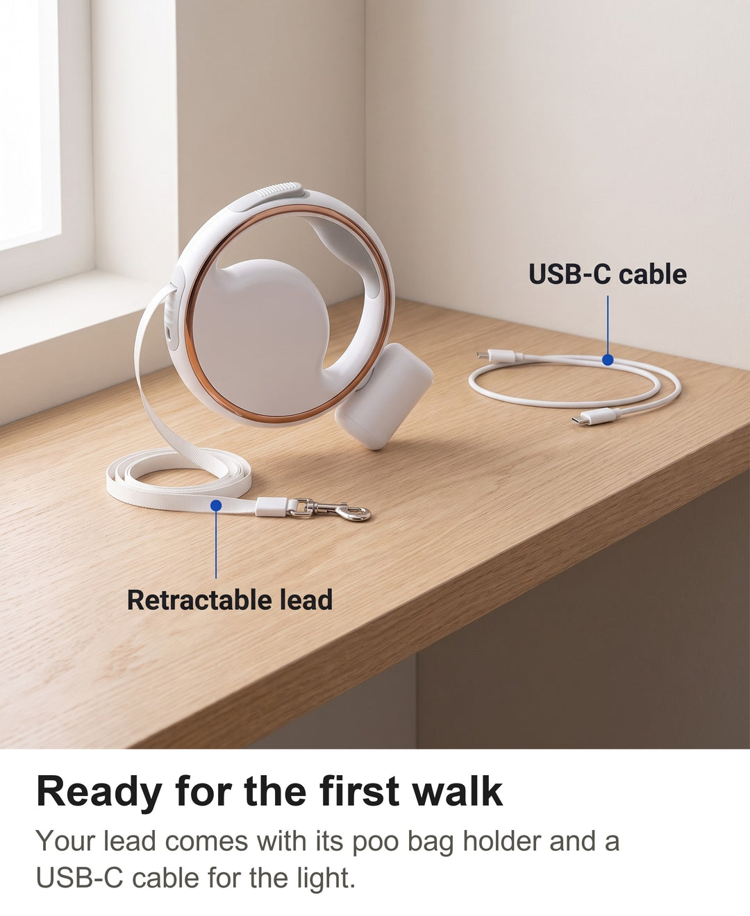 Retractable dog lead with poo bag holder and USB-C charging cable laid out