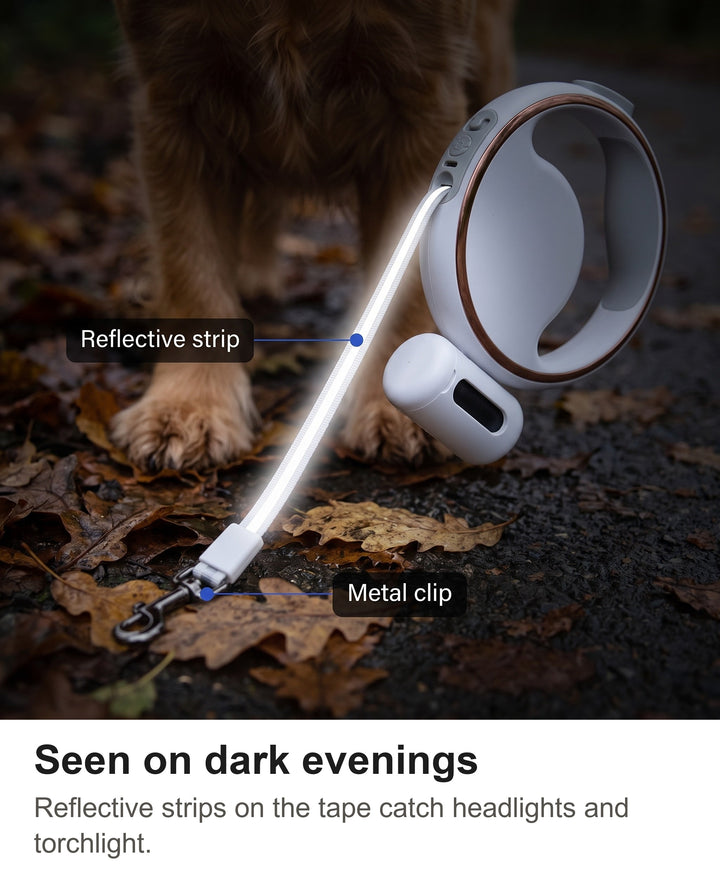 Reflective strip on the flat tape of the retractable dog lead glowing in torchlight