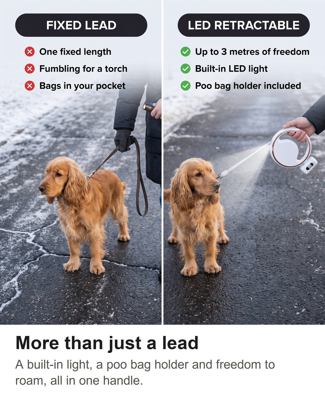 Comparison of a short fixed lead with the retractable dog lead with LED light