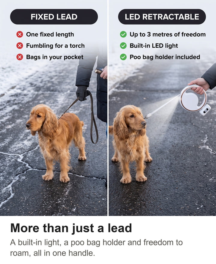 Comparison of a short fixed lead with the retractable dog lead with LED light