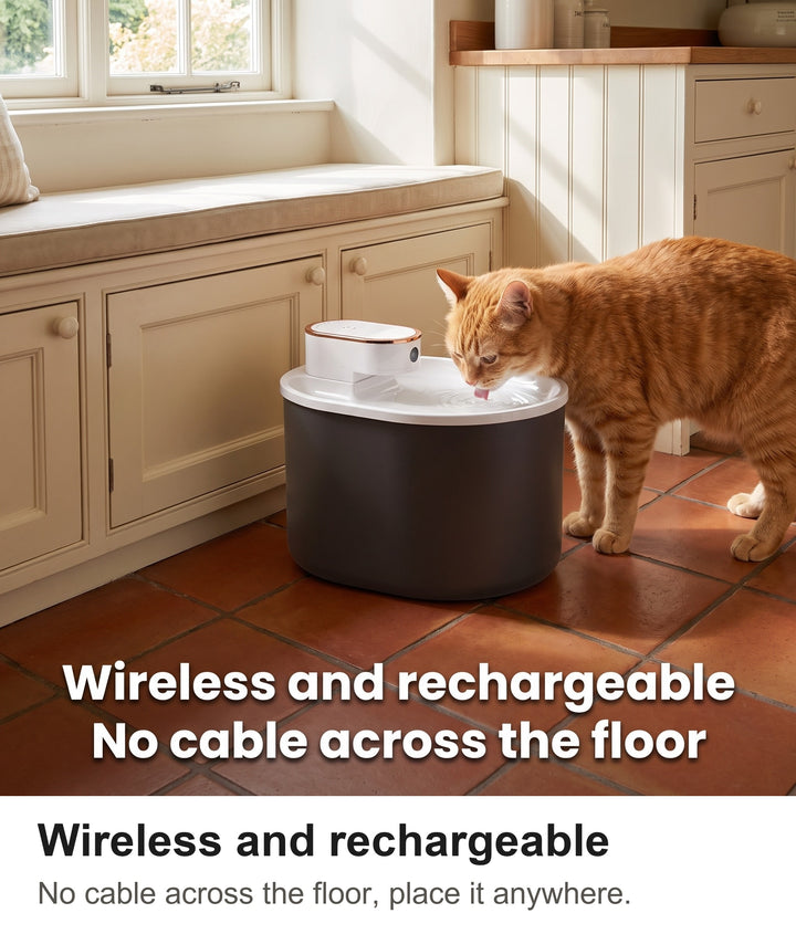 Ginger cat drinking from the wireless cat water fountain in a cottage kitchen