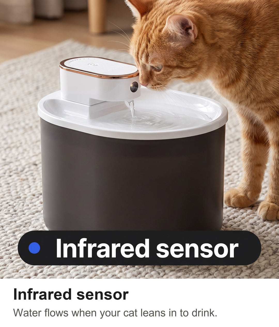 Ginger cat leaning in to the infrared sensor of the rechargeable pet water fountain