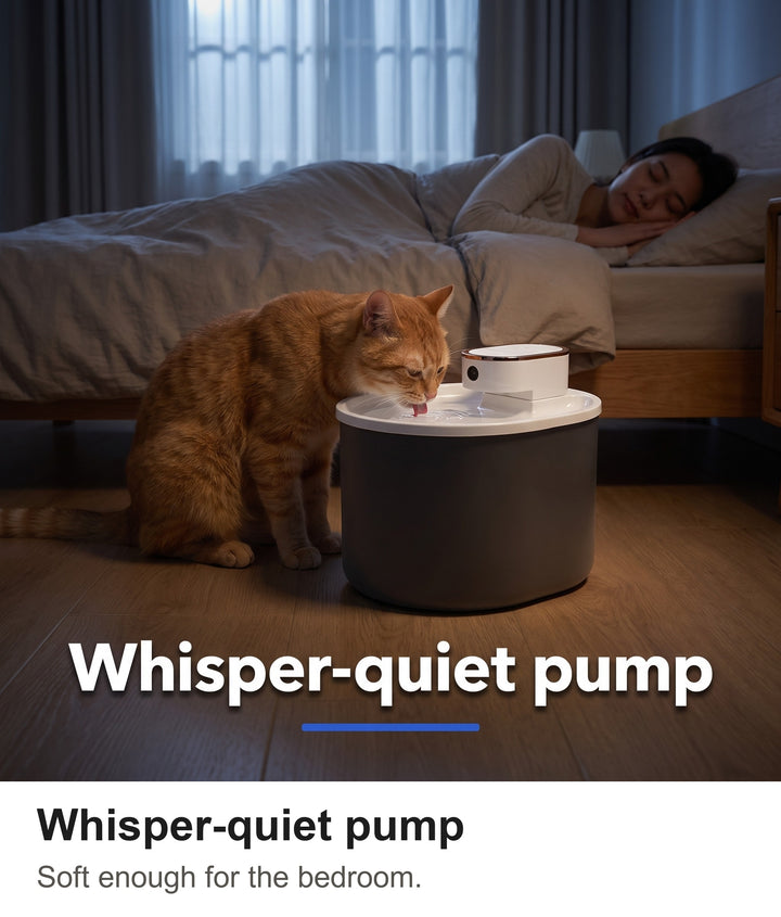 Ginger cat drinking from the quiet pet water fountain in a bedroom at night