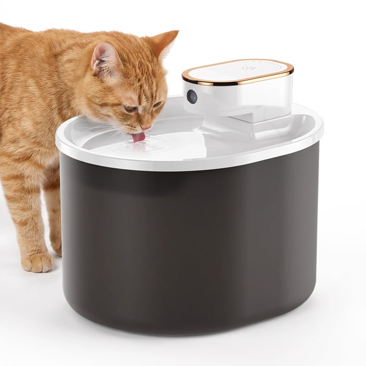 Wireless cat water fountain with white lid and rose-gold trim, ginger cat drinking