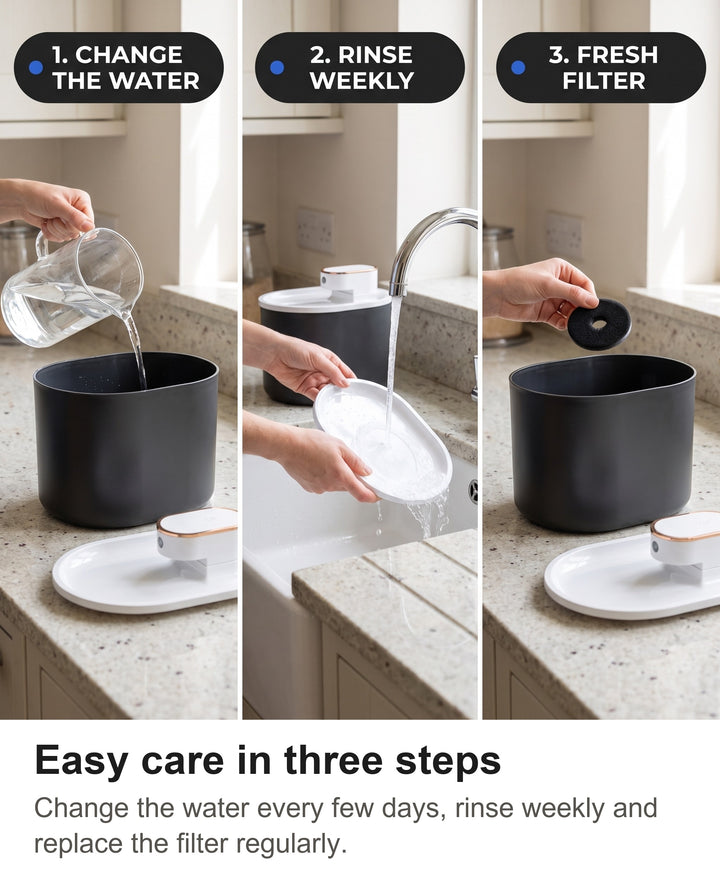 Three steps cleaning the cat water fountain: change the water, rinse the tank and lid, replace the filter