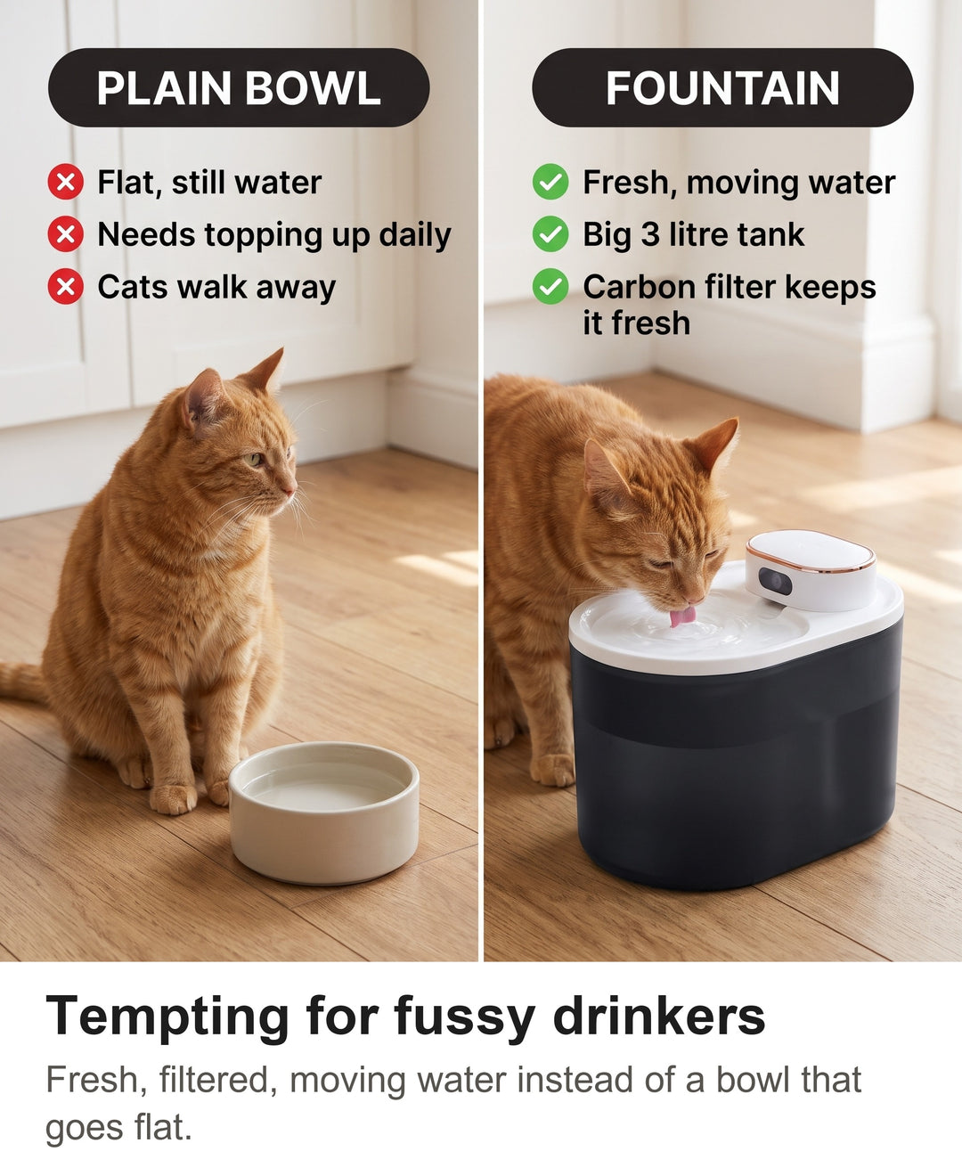 Comparison of a cat ignoring a flat water bowl with a cat drinking at the wireless fountain