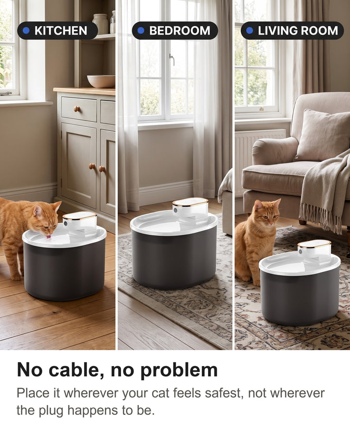 Wireless cat fountain in a kitchen, a bedroom and a living room with no cable