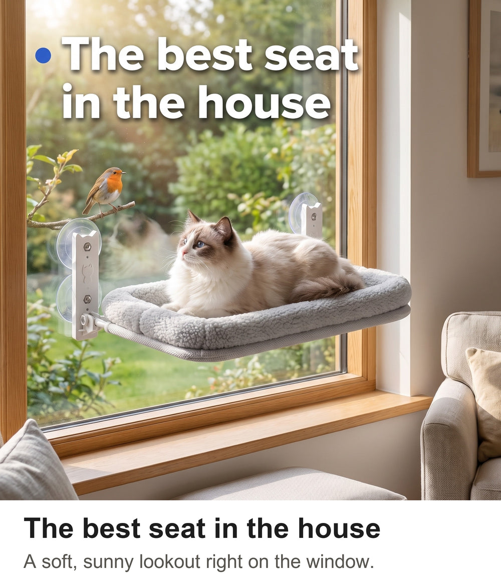 Fluffy ragdoll cat lounging on the cat window perch in front of a sunny garden view
