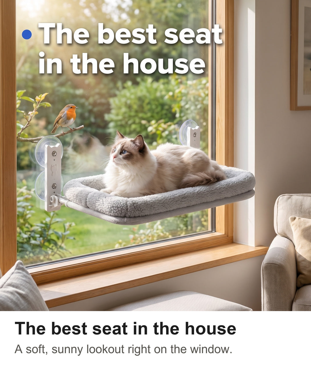 Fluffy ragdoll cat lounging on the cat window perch in front of a sunny garden view