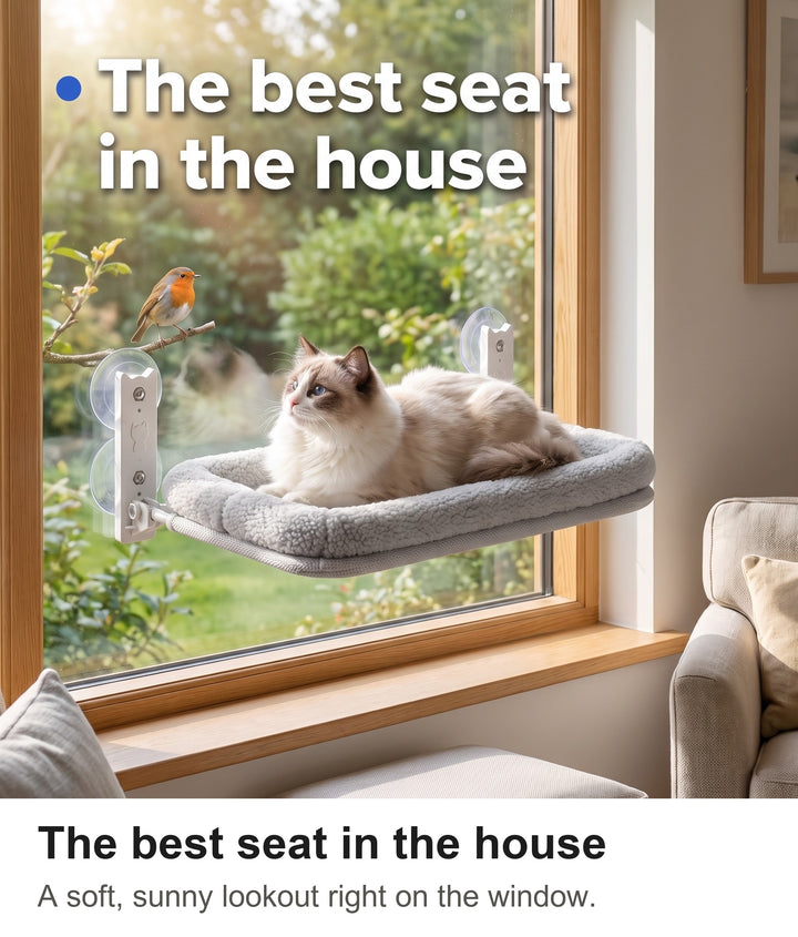Fluffy ragdoll cat lounging on the cat window perch in front of a sunny garden view