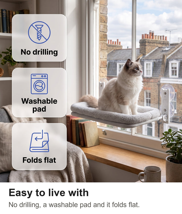 Cat window bed on a living room window: no drilling, washable pad, folds flat