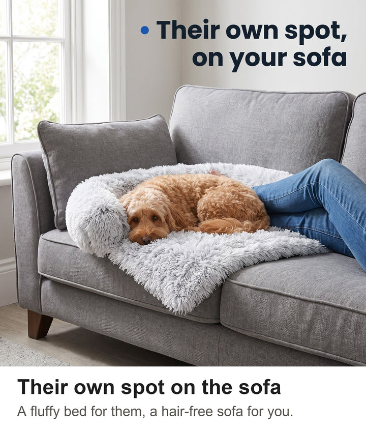 Apricot cockapoo lying in the fluffy dog bed for sofa on a grey sofa