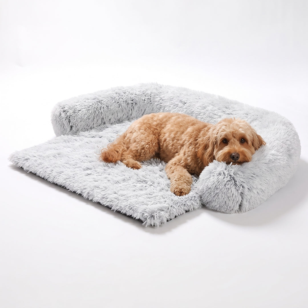 Frosted grey fluffy dog bed for sofa with bolster on three sides and an apricot cockapoo lying in it