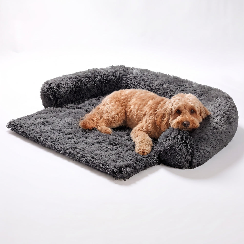 Dark grey fluffy dog sofa cover bed with bolster and an apricot cockapoo lying in it