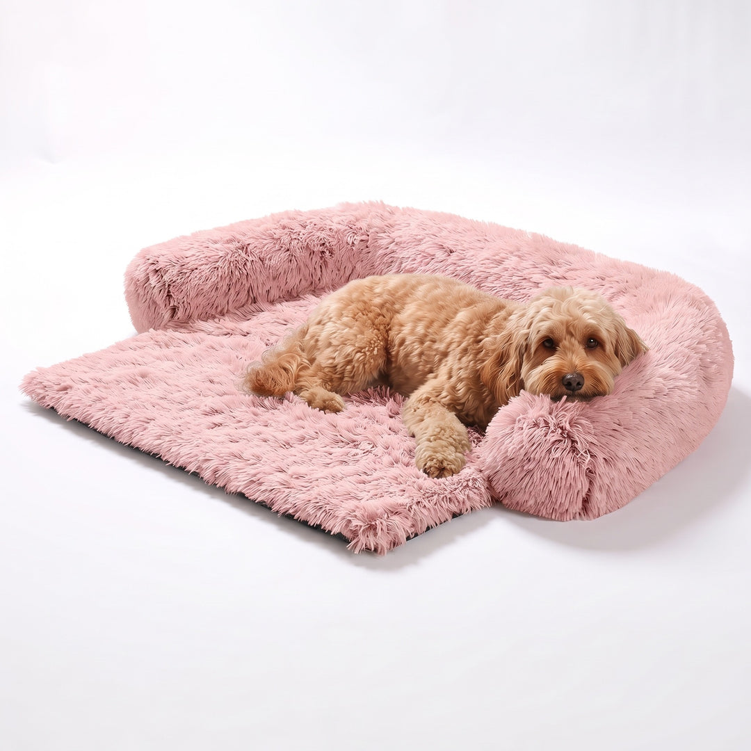 Pink fluffy dog sofa cover bed with bolster and an apricot cockapoo lying in it
