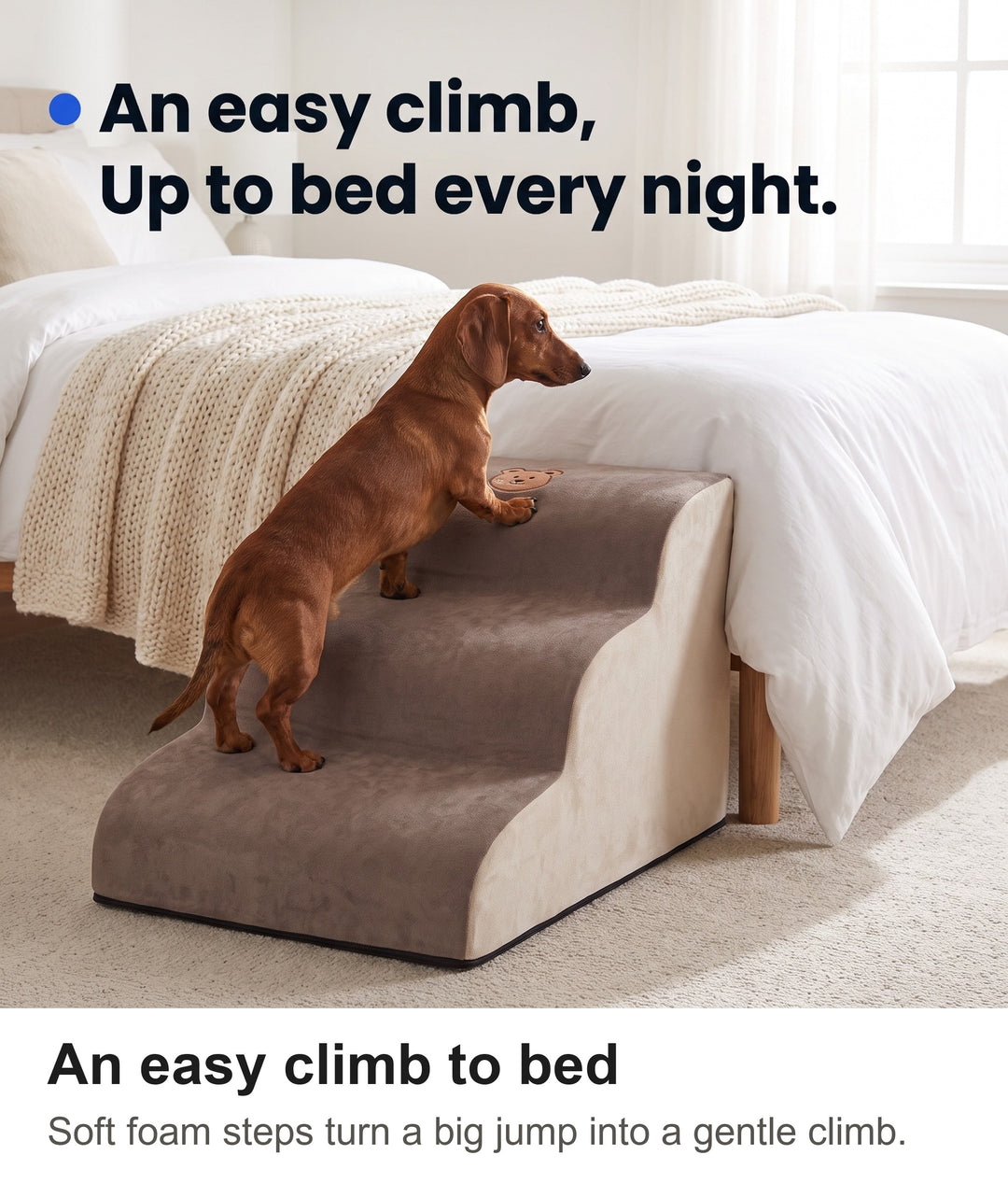 Miniature dachshund climbing the foam dog steps onto a bed