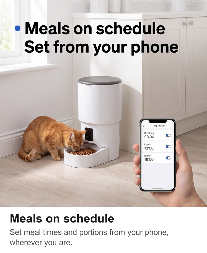 Owner setting meal times on a phone while a ginger cat eats from the automatic cat feeder in a kitchen