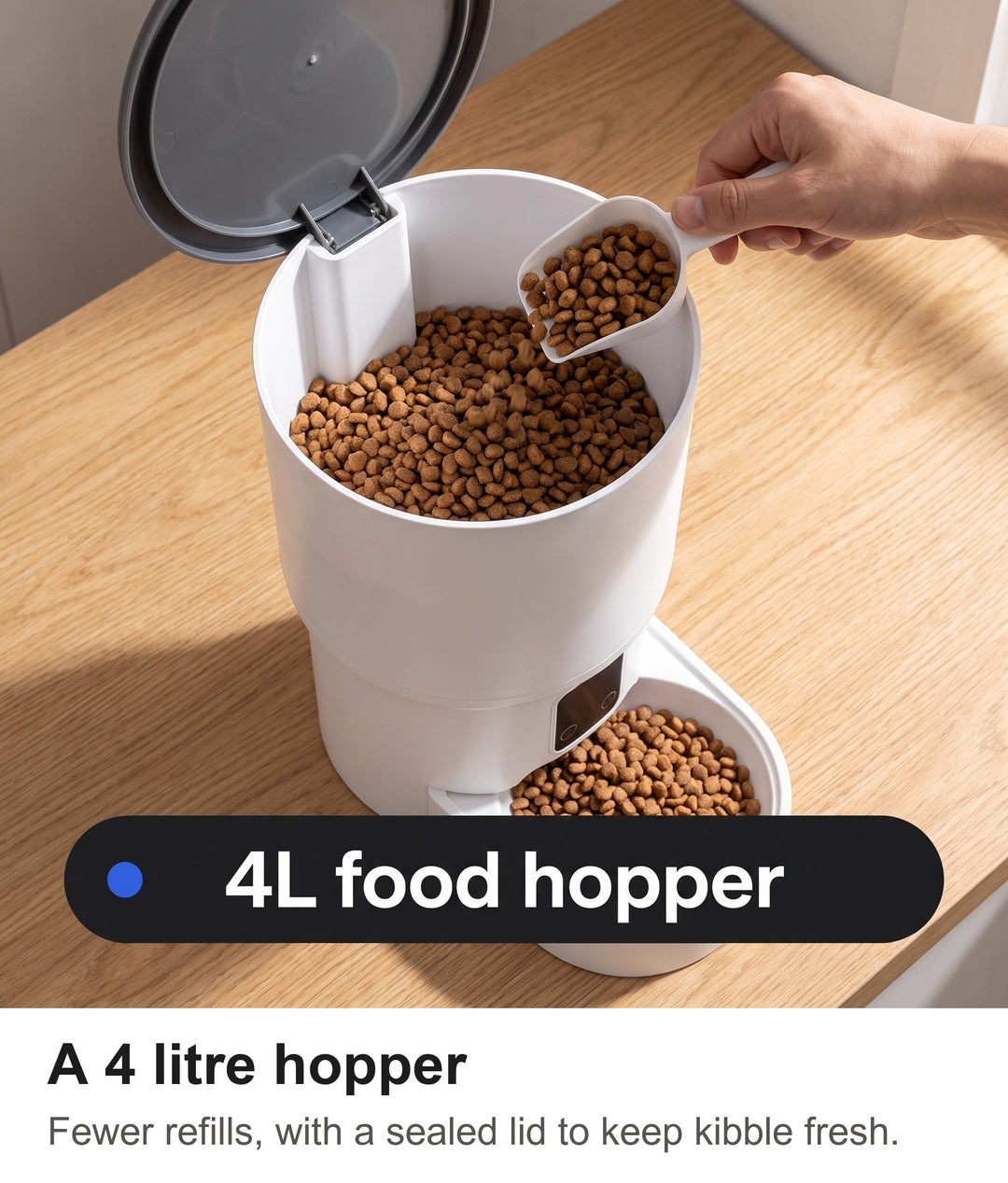 Pouring dry cat food into the 4 litre hopper of the smart pet feeder with the lid open