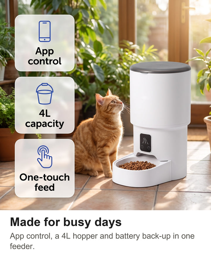 Ginger cat beside the smart pet feeder with app control, 4L capacity and battery back-up