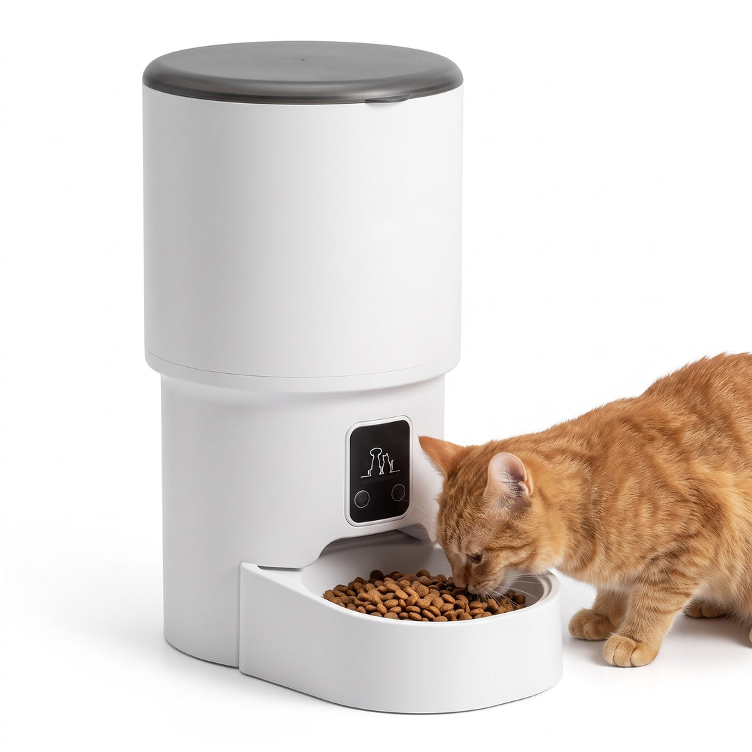 White automatic cat feeder with 4L hopper and grey lid, a ginger cat eating from the bowl