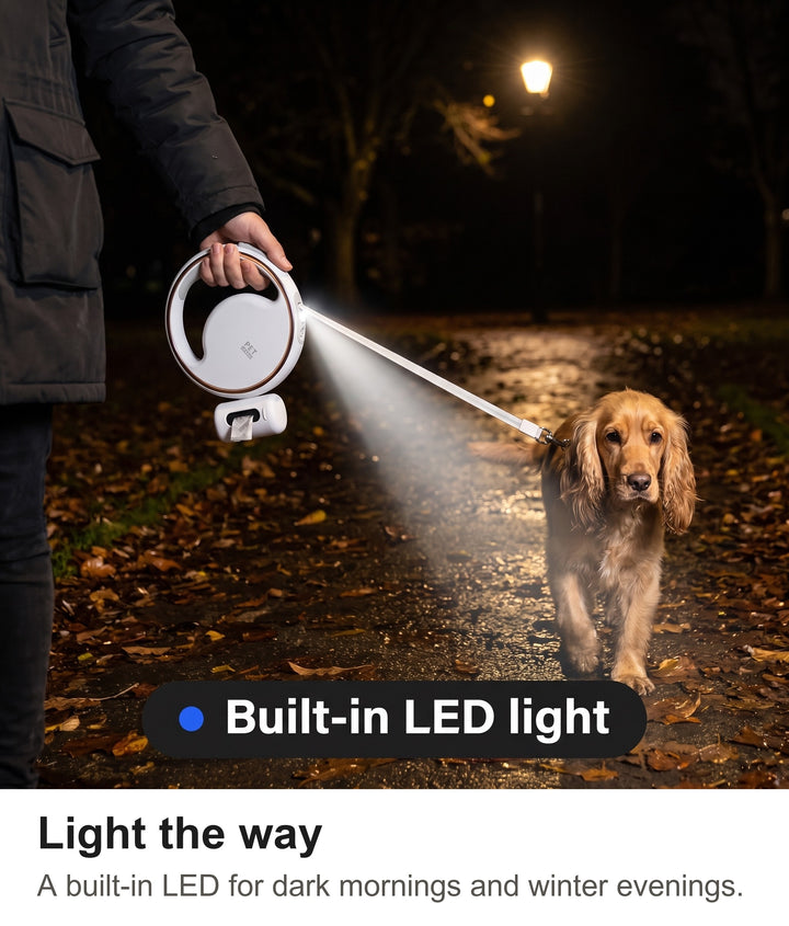 Owner walking a cocker spaniel at night with the LED light of the retractable dog lead lighting the path