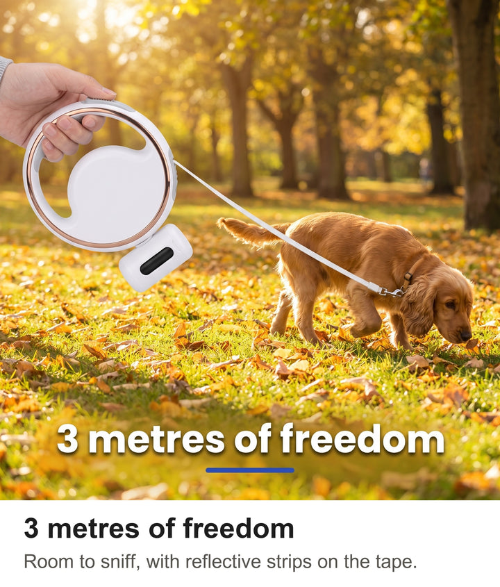 Cocker spaniel exploring a park on the 3 metre extendable dog lead