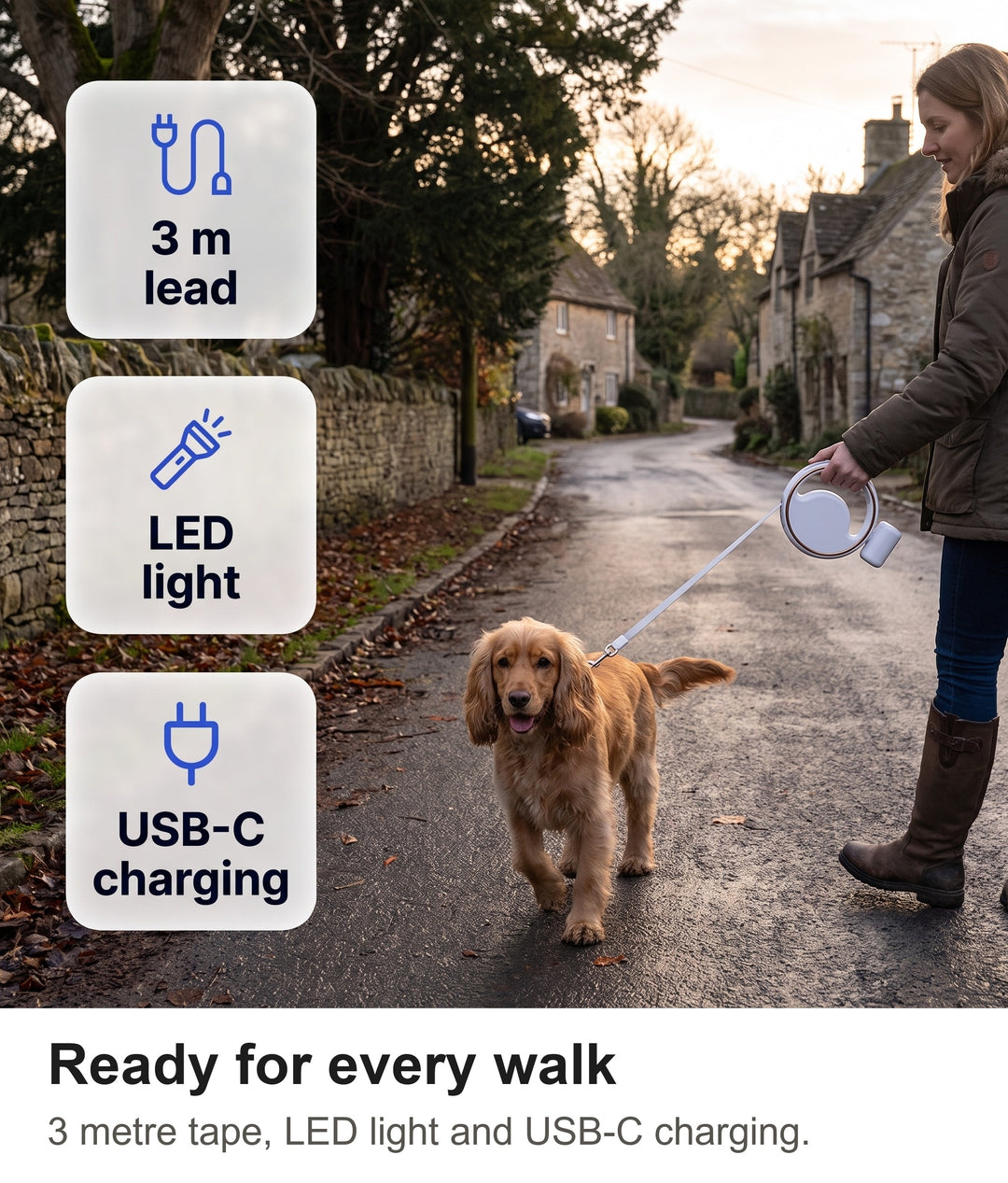 Cocker spaniel on a walk with the 3 metre retractable dog lead with LED torch and USB-C charging