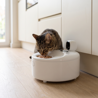 automatic cat feeder for wet food with 5 meal cooling carousel in use