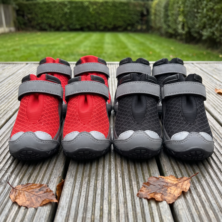 dog boots with waterproof grip soles paw protection set of 4 in use