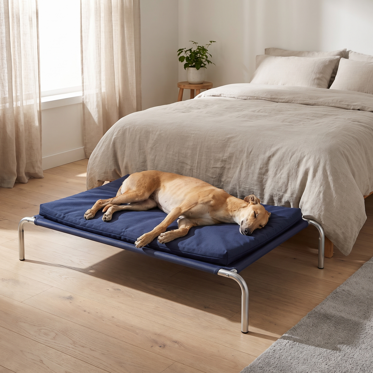 raised dog bed with elevated cool air frame and padded cushion in use