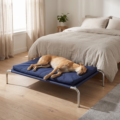 raised dog bed with elevated cool air frame and padded cushion in use