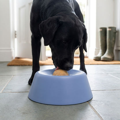 slow feeder dog bowl with rolling enrichment ball in use